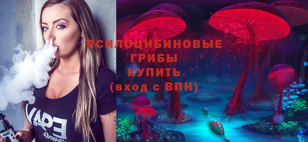 не бодяженный Карпинск