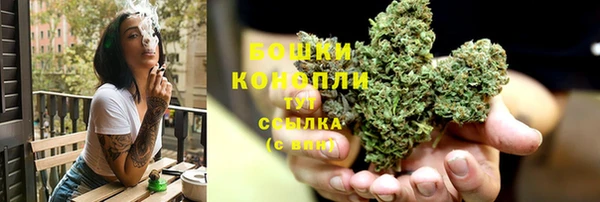 прущий лед Каменка