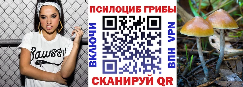 Купить закладки  Кемерово  Галлюциногенные грибы прущие грибы 